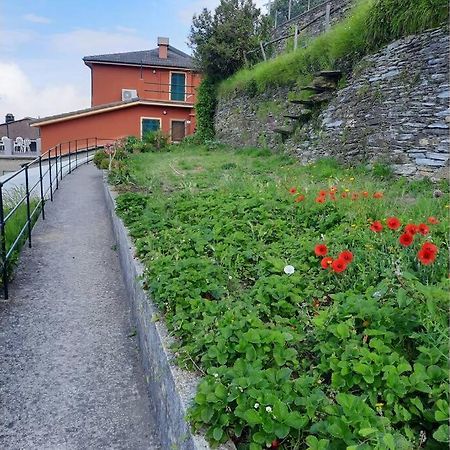 La Finestra Sul Golfo - Citra 010018-Lt-0033 - Villa Cogorno Exteriör bild