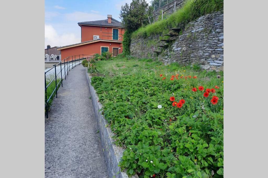 La Finestra Sul Golfo - Citra 010018-Lt-0033 - Villa Cogorno Exteriör bild